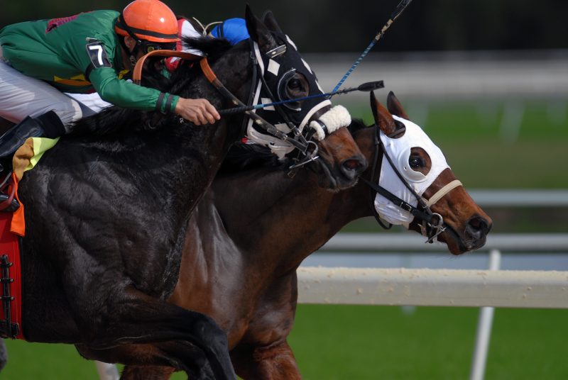 Acquisition of Ceva’s equine product range by Audevard Labs