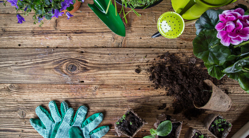 Sale of Gamm Vert garden centers