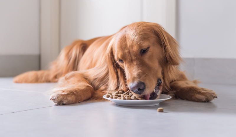 Sale of US based Pet Flavors to Bessemer PE