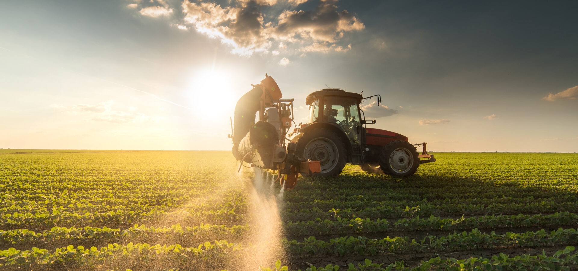 Food & Agro M&A deals